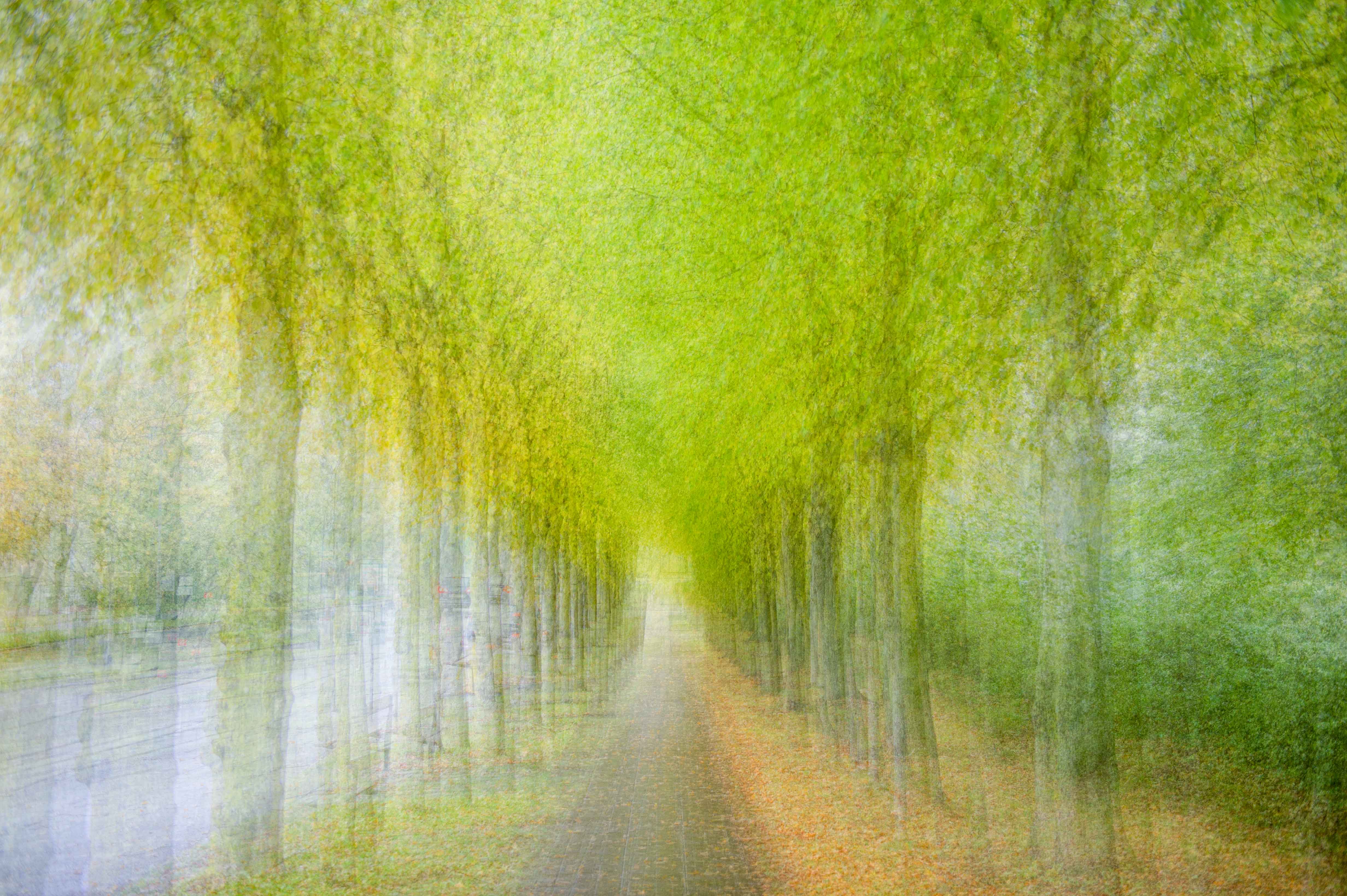Changing season in Lund