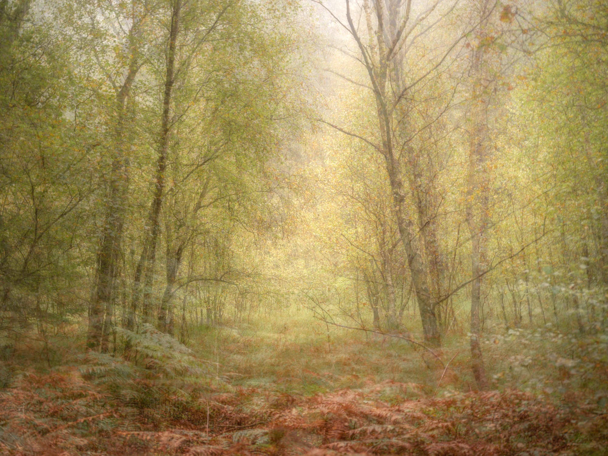 Early Autumn (Bökeberg 2021)
