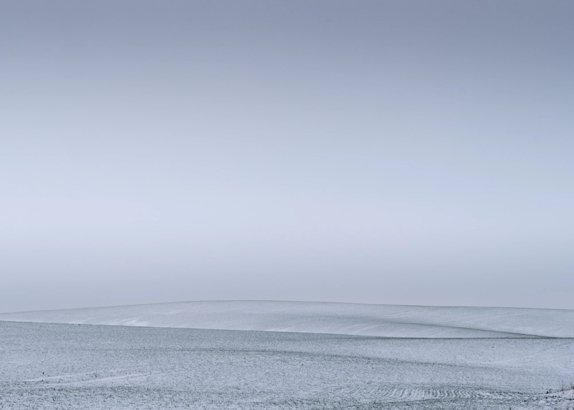 Flowing Fields, 2024
