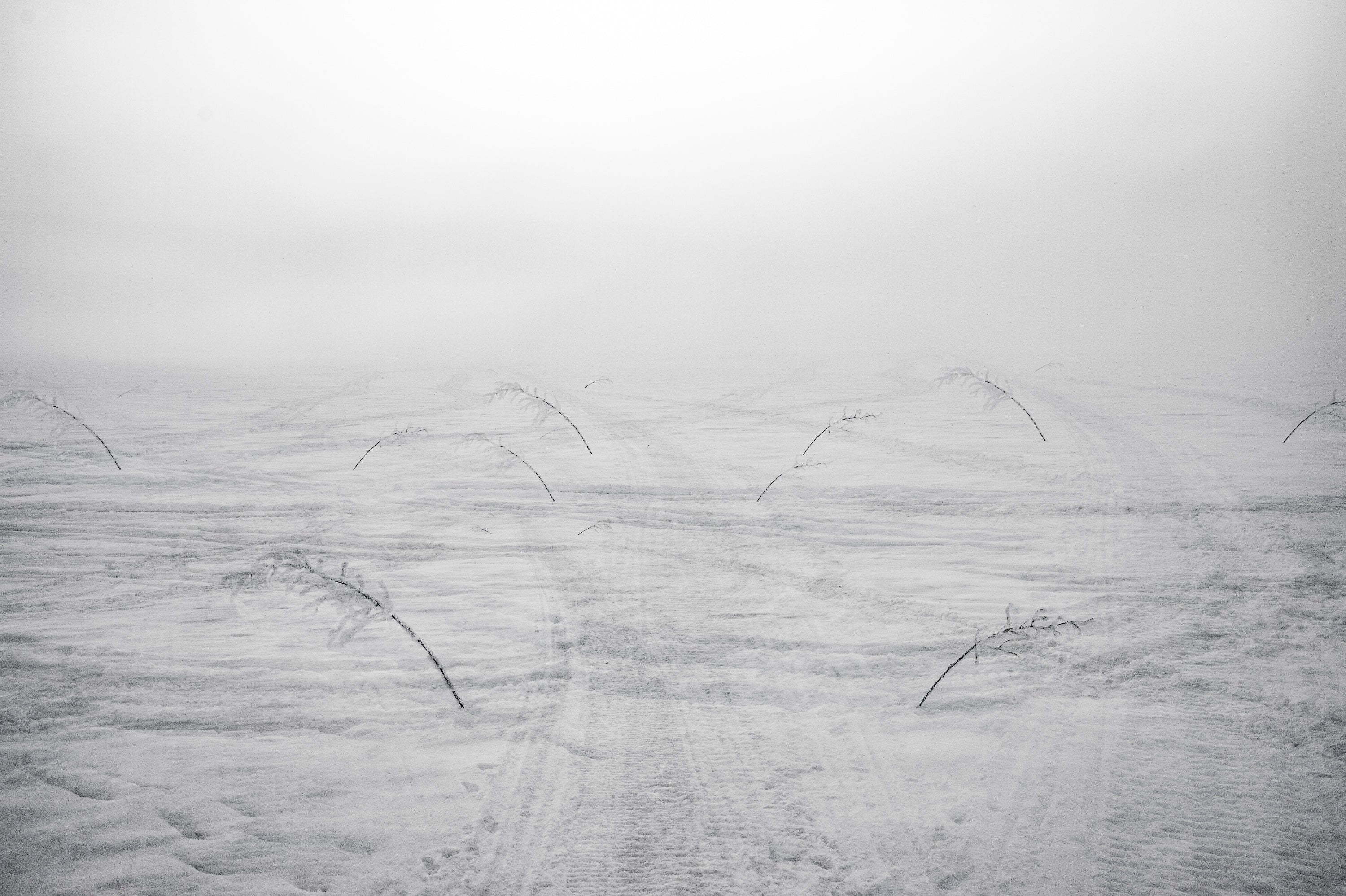 Whiteout