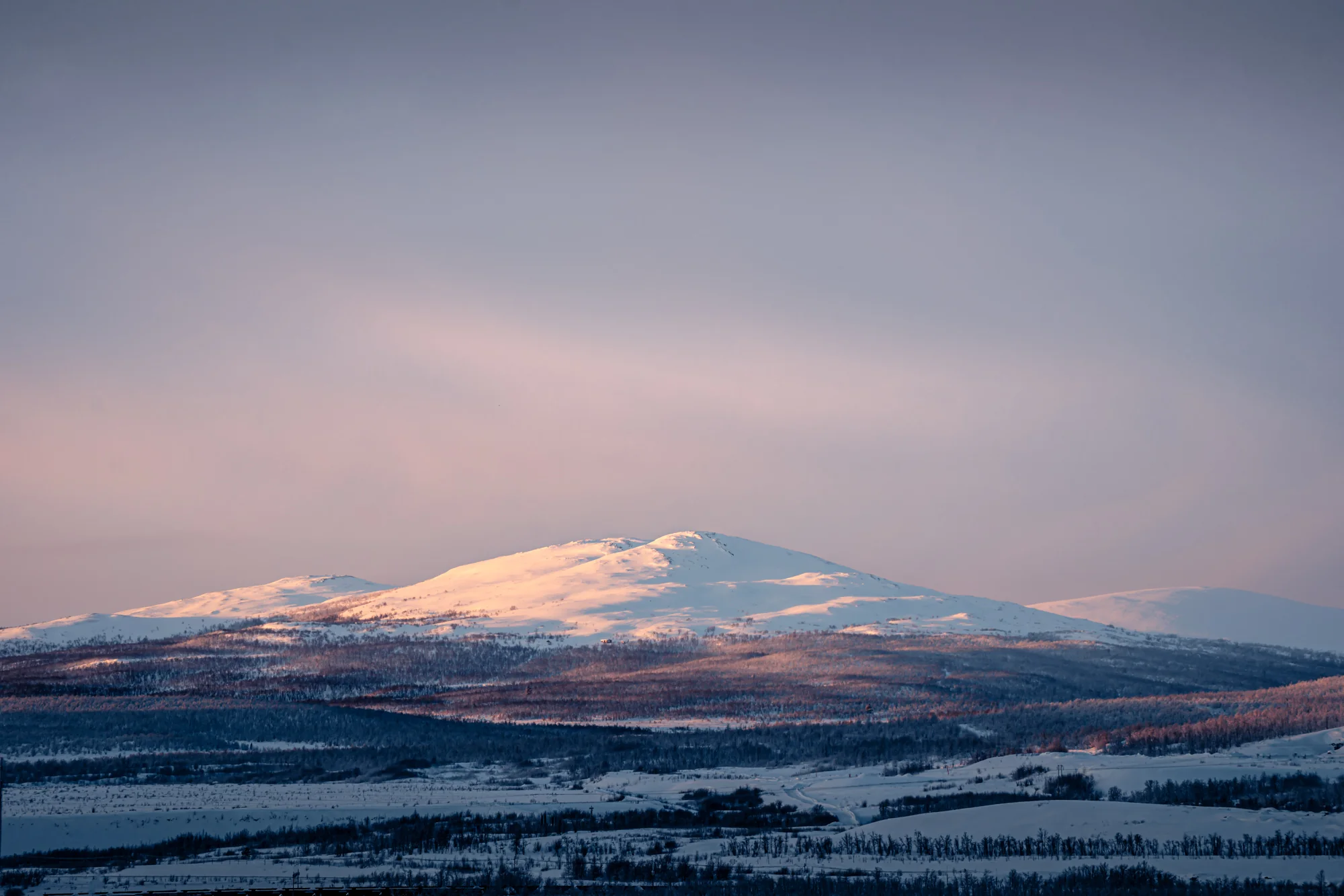 Morning at Loussavaara, 2024